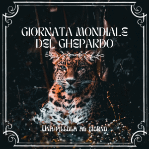 Leone della giungla per la giornata mondiale del ghepardo e della biodiversità.