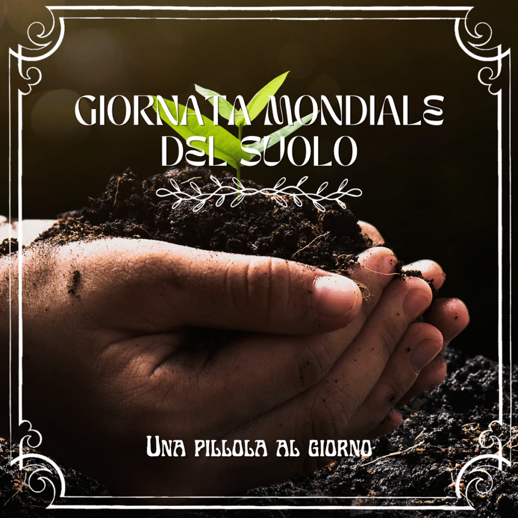 Pianta che cresce dalla terra con testo "Giornata mondiale del suolo" e "Una pillola al giorno".