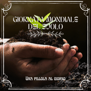 Pianta che cresce dalla terra con testo "Giornata mondiale del suolo" e "Una pillola al giorno".